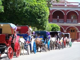 Horse drawn carriages in Granada Nicaragua – Best Places In The World To Retire – International Living